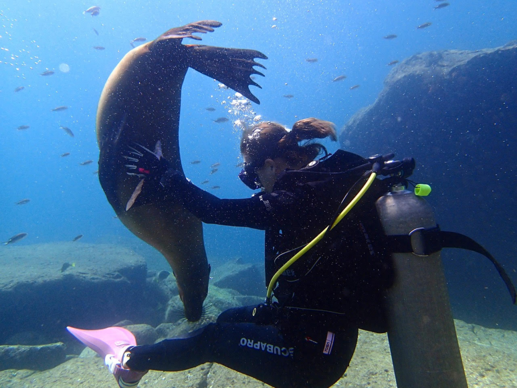 Beginner Scuba Diving